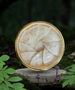 Tổ yến tiêu chuẩn Fanza