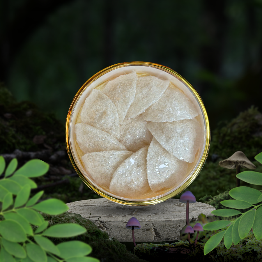 Tổ yến tiêu chuẩn Fanza