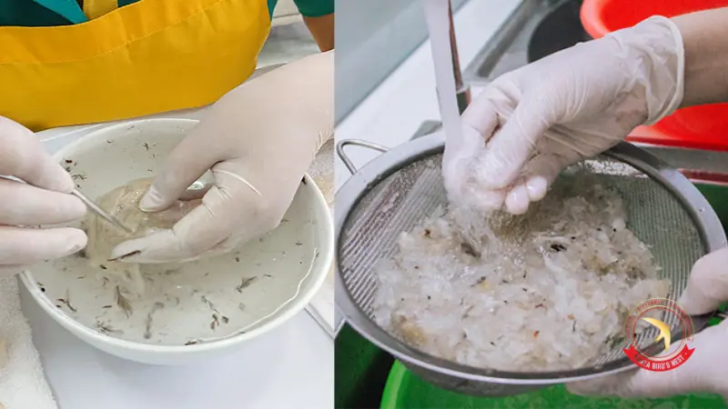 cach-nhat-long-yen-bang-ray