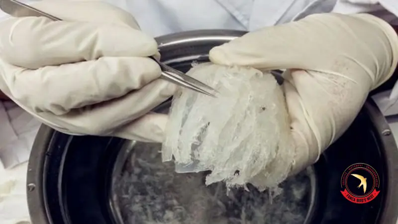 cach-nhat--long-yen-nhanh-và-sach-nhat