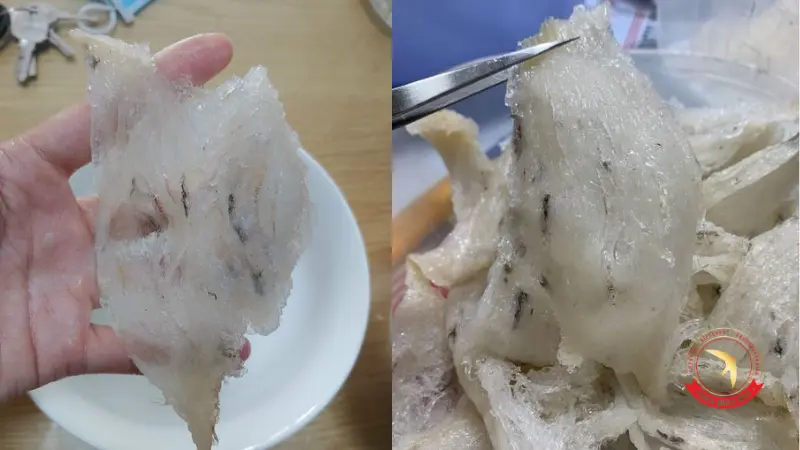 cach-nhat-long-yen-bang-nhip