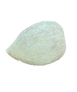 to-yen-rut-long-fanza-nguyen-to