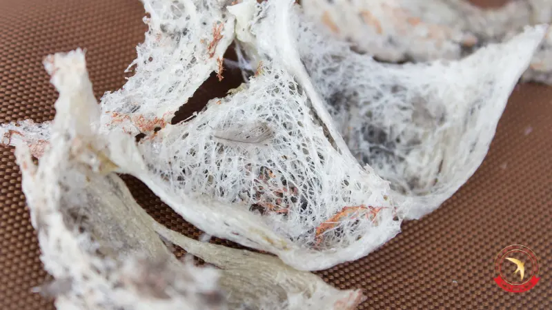 10-cong-dung-cua-yen-sao-doi-voi-suc-khoe 