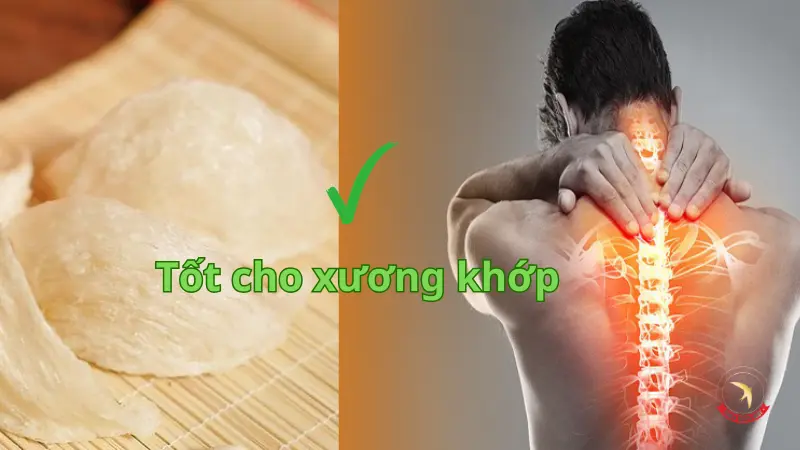 tot-cho-suc-khoe-xuong-khop