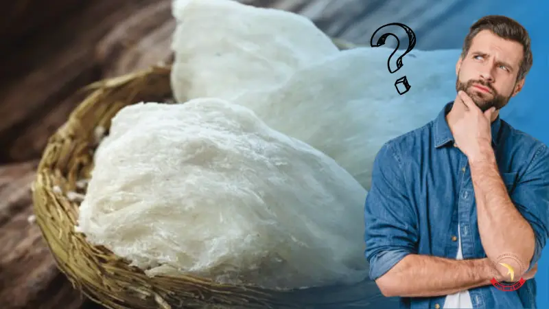 yen-sao-la-gi-co-tot-khong