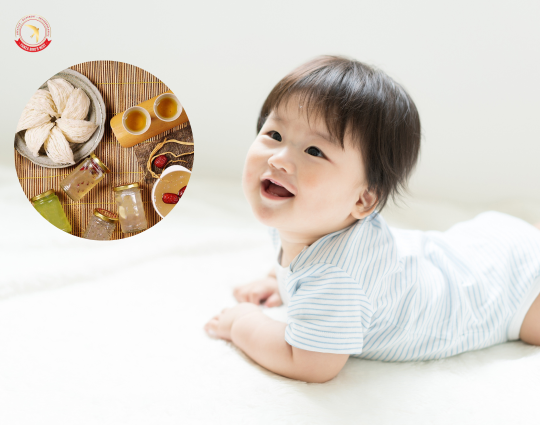 Cách nấu cháo yến cho bé