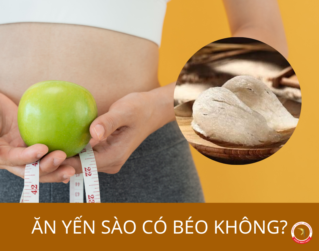 an-yen-sao-co-beo-khong